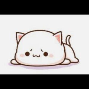 Meet your Posher, Fatima